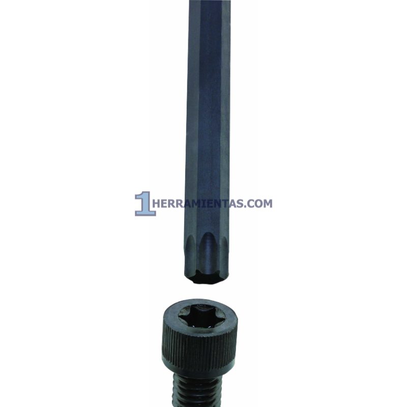 SoporteTorx_01